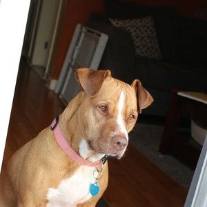 Meet your Posher, Erica